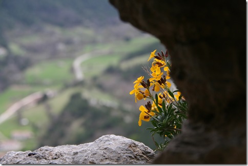 2009-04 Carcassonne 010