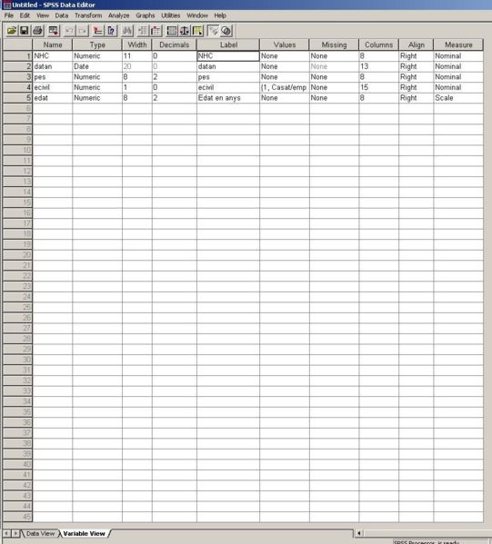 Fitxer:SPSSf8.JPG